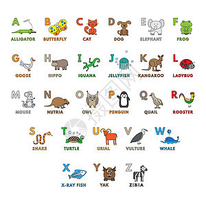 矢量卡通动物字母表图片