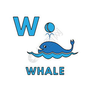 矢量可爱卡通动物字母表 鲸鱼制作图案图片