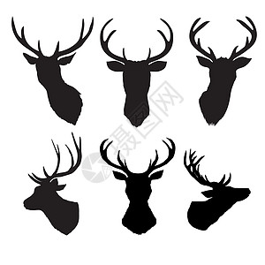 鹿头的黑色矢量剪影与鹿角隔离在白色背景横幅野生动物脖子男性安装数字荒野哺乳动物喇叭驯鹿图片