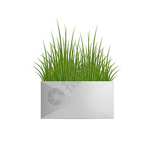 在一个长方形白色罐的新鲜的绿草 阁楼风格的锅 家居装饰元素 增长和生态的象征 孤立的矢量逼真插图图片