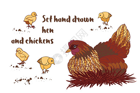 设置手绘公鸡和鸡织物唱歌动物母鸡家庭收藏十二生肖派对农业八字图片