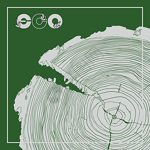 带有标志和年轮的 ECO 海报灰度图横截面生长圆圈林业历史生态生物标识木工建造材料图片