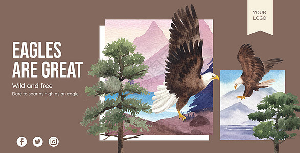 具有秃鹰概念 水彩风格的广告牌模板广告白头鹰动物绘画航班自由羽毛猎人飞行棕色图片
