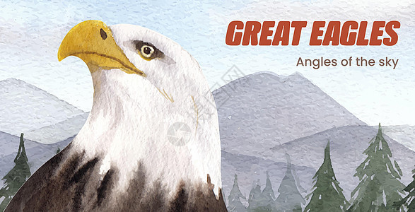 具有秃鹰概念 水彩风格的广告牌模板绘画航班羽毛猎人海藻动物荒野棕色自由野生动物图片