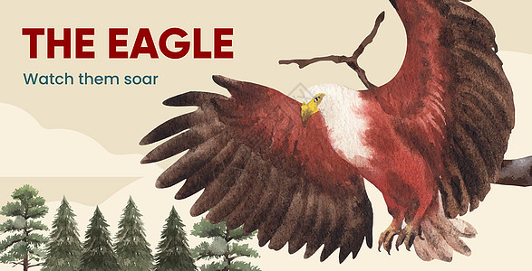 具有秃鹰概念 水彩风格的广告牌模板动物白头鹰野生动物海藻航班营销自由棕色猎物飞行图片