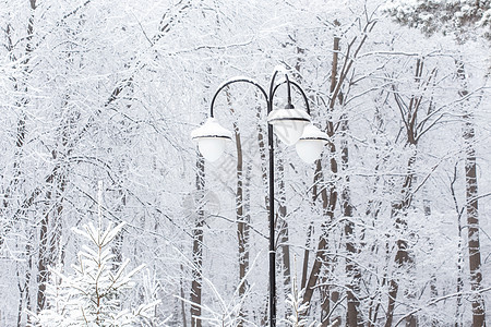 季节和自然概念     雪中的冬季公园曲目假期小路旅行天空暴风雪大路森林分支机构农村图片