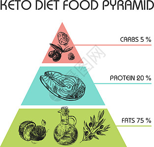 手绘矢量图 KetoDiet 营养食物坚果卫生插图圆圈椰子信息草图三角形浆果图片