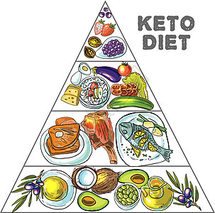 手绘矢量图 KetoDiet 营养重量三角形椰子饮食信息圆圈插图蔬菜损失卫生图片