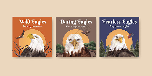 具有秃鹰概念 水彩风格的横幅模板自由荒野猎物动物翅膀营销白头鹰绘画棕色广告图片