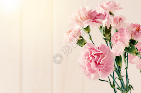 粉红康乃馨花花花朵礼物宏观花束过滤植物群花瓶图片