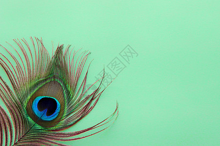 蓝色羽毛孔雀羽毛眼睛细节在 dreen 背景的 孔雀颜色的豪华抽象纹理 印度雄性孔雀奢华的羽毛 - 隐蔽羽毛的眼睛斑点尾巴背景