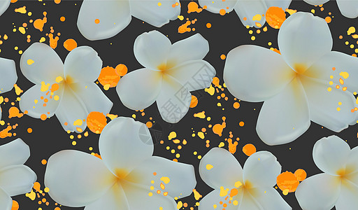 具有抽象水彩飞溅和热带鸡蛋花的背景图片
