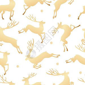 白色的鹿夏天季节高清图片
