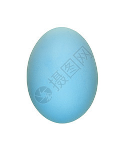 白种背景孤立的蓝鸡蛋图片