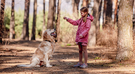 小女孩 带着金色猎犬宠物幸福粉色童年动物犬类孩子女性小路外套图片