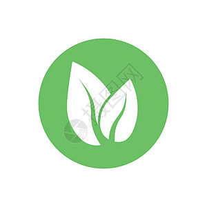 绿叶 生态图标 矢量插图 平面设计温泉生活标识艺术植物标签网络网站叶子生物图片