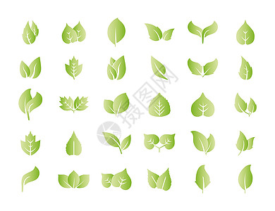 生态 绿色 树叶图标设置 矢量图解网络标识产品家居生活回收食物灯泡插图地球图片