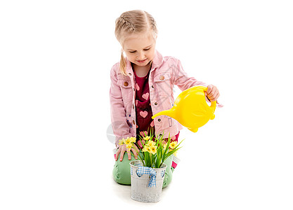 在白色背景中孤立的花儿浇鲜花植物情感快乐孩子女性夹克童年女孩学生衣服图片