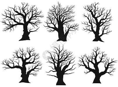 树剪影 黑色裸橡木轮廓 详细的图像 韦克托图片