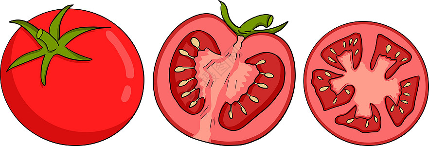 手绘五颜六色的红番茄 孤立在白色背景上的矢量图解 写实植物水果墙纸食物墨水绘画饮食刷子烹饪蔬菜宏观图片
