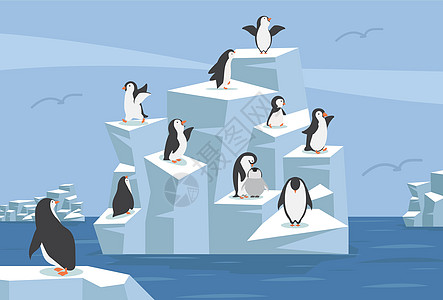北极北极与企鹅群圈图片