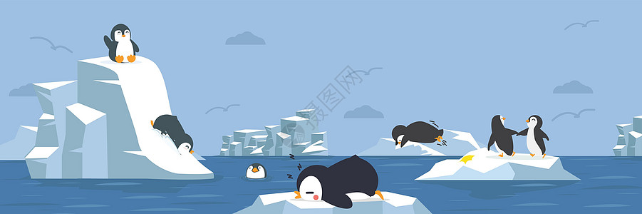 有北极背景的企鹅类动物图片