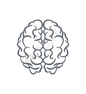 人类大脑轮廓矢量图片
