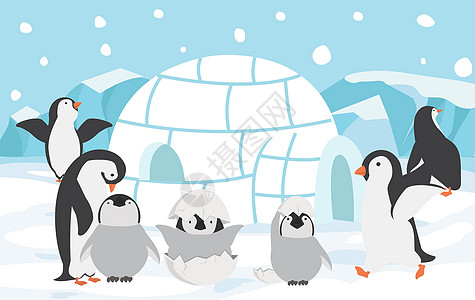 具有北极背景概念的家庭企鹅图片
