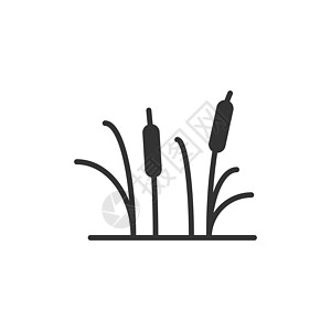扁平风格的芦苇草图标 孤立在白色背景上的芦苇沼泽矢量图解 芦苇叶经营理念图片