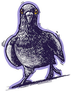 卡通搞笑可爱手绘紫罗兰鸽子背景图片