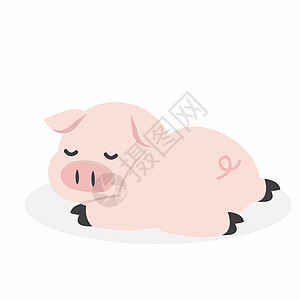 睡觉的猪沉睡的猪动物农业快乐睡眠农场表情乐趣收藏符号插图插画