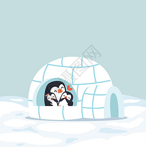 企鹅在冬天对小伊格鲁冰屋很满意图片