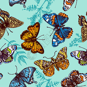 蝴蝶素描涂鸦团体动物铅笔画艺术苦恼生物昆虫学手绘插图图片
