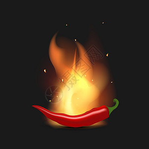 红辣椒着火 辣椒在火焰中 现实风格 矢量插图图片