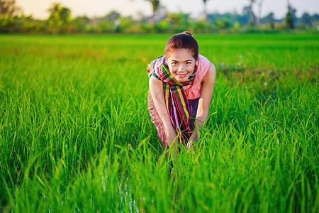 在稻田工作的农务妇女微笑种植园文化收成农业农场生活植物农民女士图片
