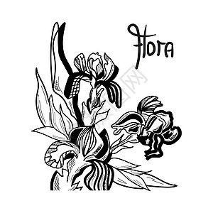 百合花花束鸢尾花用字母 Flora 以图形方式绘制设计图片