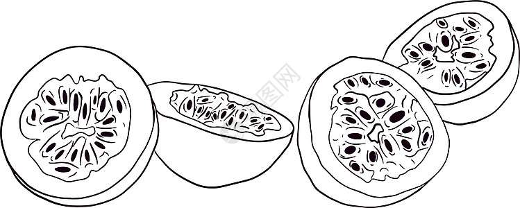 绘画一组激情果实的矢量手 热情果子插图 美味热带素食物品 彩色页面收藏植物学标签异国手绘菜单草图蚀刻食物紫色图片