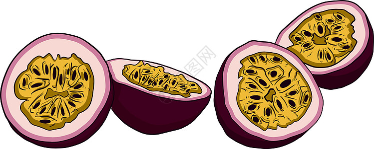 矢量手绘套西番莲果 百香果插图 美味的热带素食对象 用于餐厅 菜单 冰沙碗 市场 商店 派对装饰 餐点草图异国绘画蚀刻叶子植物学图片