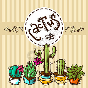 cacti 和succulents 非活性纺织品打印植物学草图叶子花园艺术卡通片插图涂鸦图片