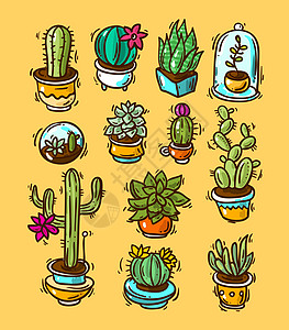 cacti 和succulents 非活性涂鸦植物群织物纺织品叶子打印卡通片草图热带花园图片