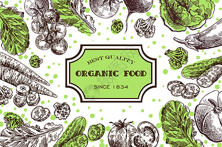 美丽的手画图画的蔬菜产品茄子插图饮食生长厨房烹饪生态花园餐厅图片