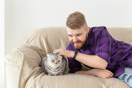 时髦的长胡子男嬉皮士在沙发上摆着他美丽的灰色苏格兰式折叠猫伴侣虎斑工作室短发眼睛婴儿尾巴动物小猫晶须图片