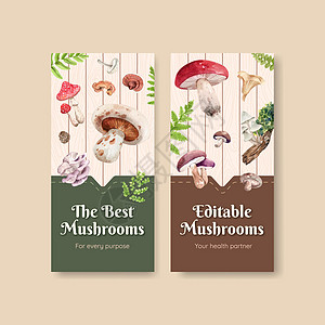 带有蘑菇和森林植物概念 水彩色风格的飞板模板营销水彩植物群菌类饮食植物学小册子食物插图蔬菜图片