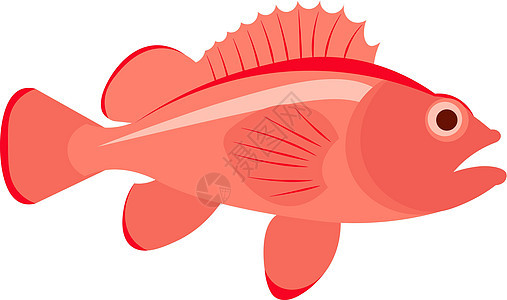 海贝斯鱼类病媒说明图片