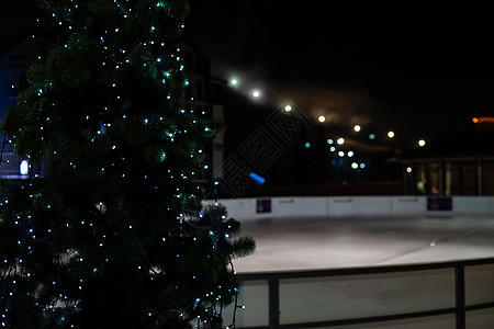 冰林和圣诞树夜景旅行溜冰场历史性地标建筑学兴趣街道娱乐博物馆滑冰图片