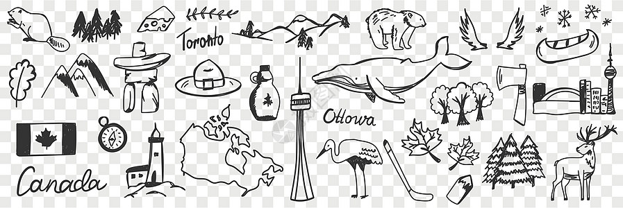 加拿大的符号和标志 涂鸦套苍鹭粉笔孩子刻字插图多样性绘画艺术国家铅笔图片