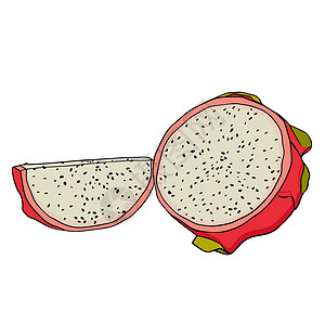 矢量手绘制了一套皮加亚 龙果插图 美味的热带素食物品植物异国甜点手绘涂鸦情调饮食水果菜单食物图片
