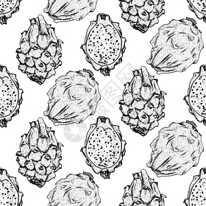 矢量手绘制了无缝的皮加亚模式 龙果插图 美味热带素食模式水果营养绘画手绘植物甜点菜单食物种子草图图片