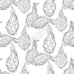 矢量手绘制了无缝的皮加亚模式 龙果插图 美味热带素食模式水果草图食物种子手绘植物营养绘画菜单甜点图片