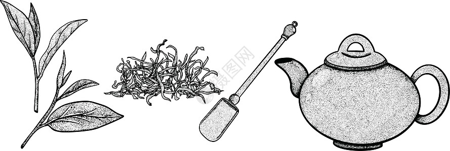 图形样式中的茶叶收集元素 手绘矢量图解玻璃杯子手工草图仪式草本植物收藏食物菜单茶壶图片